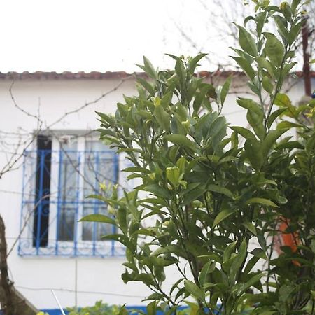 Sintra Nomad Lodge 外观 照片