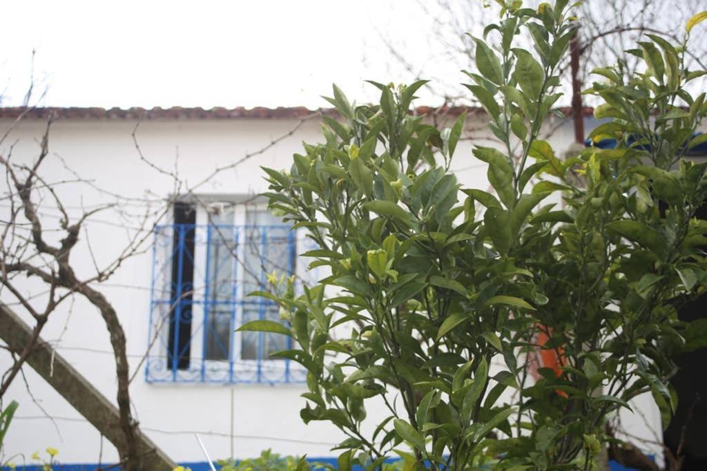 Sintra Nomad Lodge 外观 照片