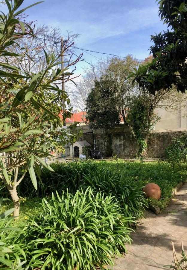 Sintra Nomad Lodge 外观 照片